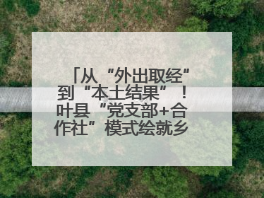 从“外出取经”到“本土结果”！叶县“党支部+合作社”模式绘就乡村振兴新图景