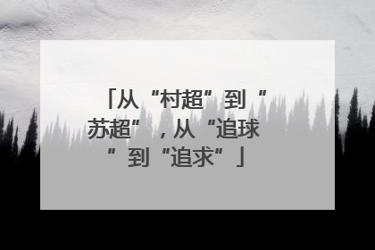 从“村超”到“苏超”，从“追球”到“追求”