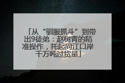 从“驯服抓斗”到带出9徒弟：赵树青的精准操作，托起同江口岸千万吨过货量
