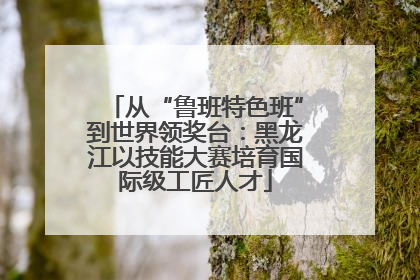 从“鲁班特色班”到世界领奖台：黑龙江以技能大赛培育国际级工匠人才
