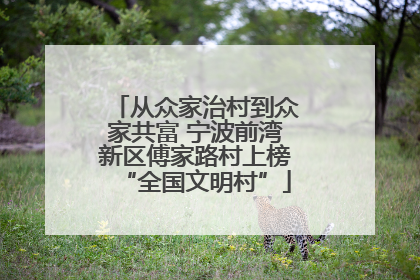 从众家治村到众家共富 宁波前湾新区傅家路村上榜“全国文明村”