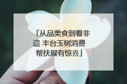 从品美食到看非遗 丰台玉树消费帮扶展有惊喜