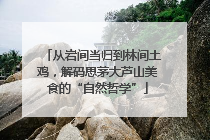 从岩间当归到林间土鸡，解码思茅大芦山美食的“自然哲学”