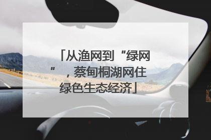 从渔网到“绿网”，蔡甸桐湖网住绿色生态经济