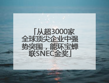 从超3000家全球顶尖企业中强势突围，能环宝蝉联SNEC金奖