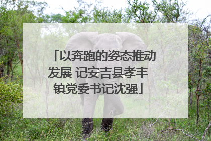 以奔跑的姿态推动发展 记安吉县孝丰镇党委书记沈强