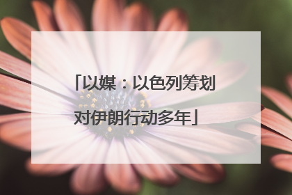 以媒：以色列筹划对伊朗行动多年