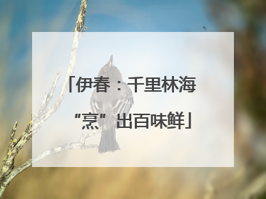伊春：千里林海“烹”出百味鲜