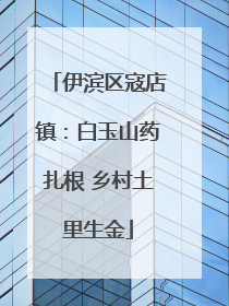 伊滨区寇店镇：白玉山药扎根 乡村土里生金