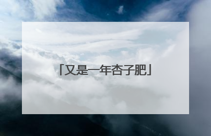 又是一年杏子肥