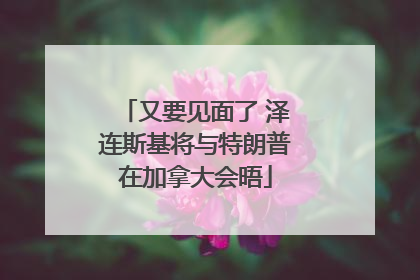 又要见面了 泽连斯基将与特朗普在加拿大会晤