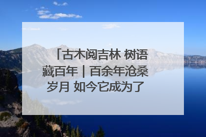 古木阅吉林 树语藏百年｜百余年沧桑岁月 如今它成为了“镇园之宝”