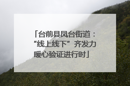 台前县凤台街道：“线上线下”齐发力 暖心验证进行时