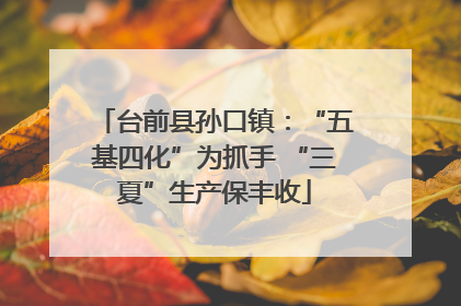 台前县孙口镇：“五基四化”为抓手 “三夏”生产保丰收