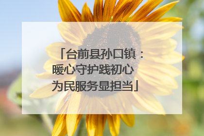 台前县孙口镇：暖心守护践初心 为民服务显担当