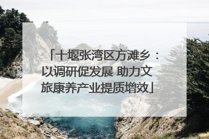 十堰张湾区方滩乡：以调研促发展 助力文旅康养产业提质增效