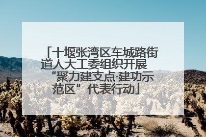 十堰张湾区车城路街道人大工委组织开展 “聚力建支点·建功示范区”代表行动