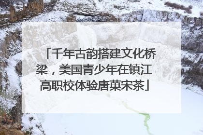 千年古韵搭建文化桥梁，美国青少年在镇江高职校体验唐菓宋茶