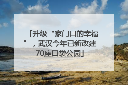 升级“家门口的幸福”，武汉今年已新改建70座口袋公园