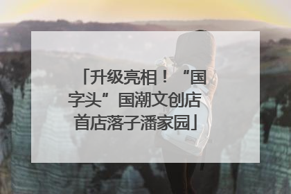 升级亮相！“国字头”国潮文创店首店落子潘家园