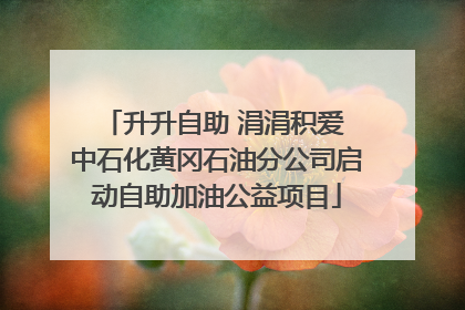 升升自助 涓涓积爱 中石化黄冈石油分公司启动自助加油公益项目