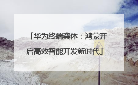 华为终端龚体：鸿蒙开启高效智能开发新时代