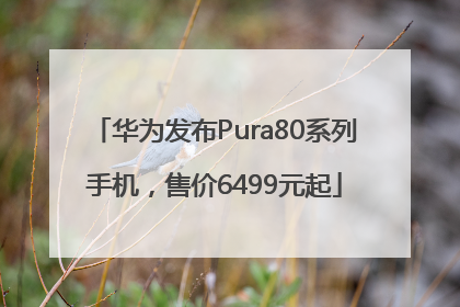 华为发布Pura80系列手机，售价6499元起