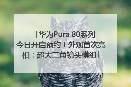 华为Pura 80系列今日开启预约！外观首次亮相：超大三角镜头模组