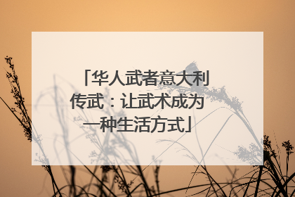 华人武者意大利传武：让武术成为一种生活方式
