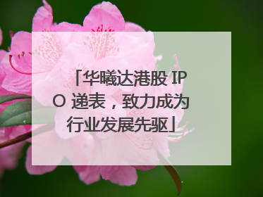 华曦达港股 IPO 递表，致力成为行业发展先驱