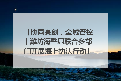协同亮剑，全域管控丨潍坊海警局联合多部门开展海上执法行动