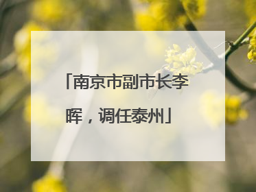 南京市副市长李晖，调任泰州