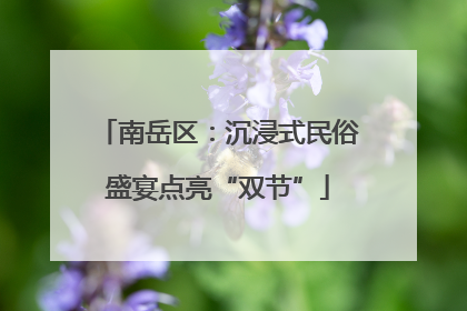 南岳区：沉浸式民俗盛宴点亮“双节”