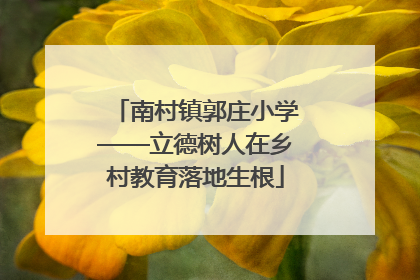 南村镇郭庄小学——立德树人在乡村教育落地生根