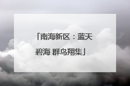 南海新区：蓝天碧海 群鸟翔集