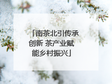 南茶北引传承创新 茶产业赋能乡村振兴