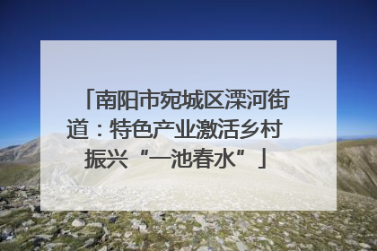 南阳市宛城区溧河街道：特色产业激活乡村振兴“一池春水”