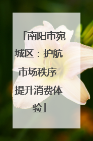 南阳市宛城区：护航市场秩序 提升消费体验