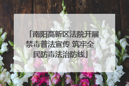 南阳高新区法院开展禁毒普法宣传 筑牢全民防毒法治防线