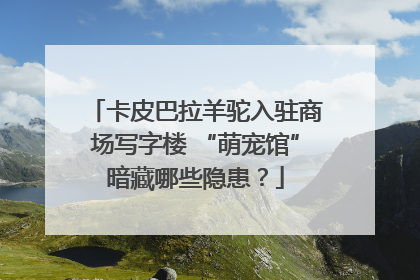 卡皮巴拉羊驼入驻商场写字楼 “萌宠馆”暗藏哪些隐患？