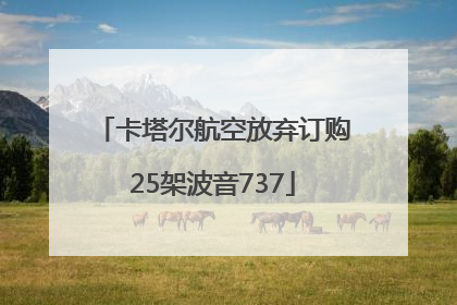 卡塔尔航空放弃订购25架波音737