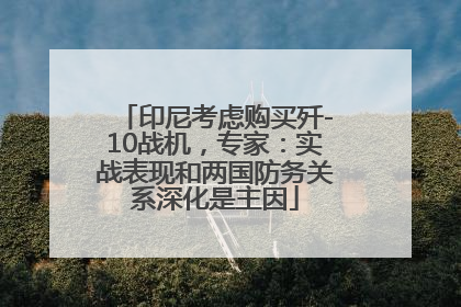 印尼考虑购买歼-10战机，专家：实战表现和两国防务关系深化是主因