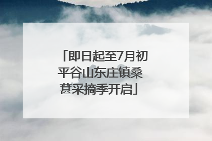 即日起至7月初 平谷山东庄镇桑葚采摘季开启
