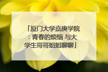 厦门大学嘉庚学院：青春的烦恼 与大学生哥哥姐姐聊聊