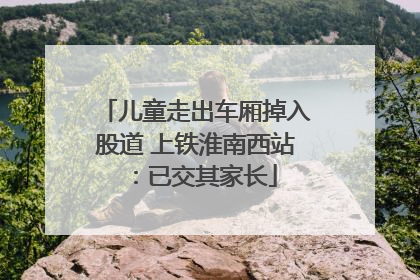 儿童走出车厢掉入股道 上铁淮南西站：已交其家长