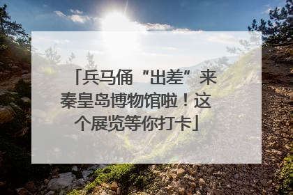 兵马俑“出差”来秦皇岛博物馆啦！这个展览等你打卡