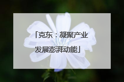 克东：凝聚产业发展澎湃动能