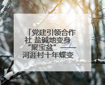 党建引领合作社 盐碱地变身“聚宝盆”——河涯村十年蝶变实现产业兴村群众富