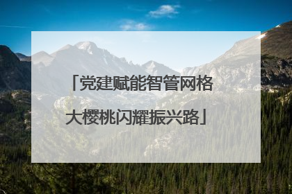 党建赋能智管网格 大樱桃闪耀振兴路