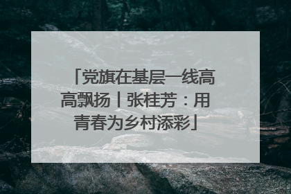 党旗在基层一线高高飘扬丨张桂芳：用青春为乡村添彩
